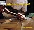 What Is a Wedge? (Welcome Books)