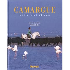 Camargue entre ciel et eaux