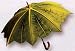 LAMPS BEAUTIFUL Rain or Sun Umbrella--Palm Tree--Excellent customer service--see our feedback.