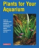 Plants for Your Aquarium