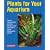 Plants for Your Aquarium