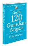 God's 120 Guardian Angels: A spin-off from Summa Metaphysica-Quest for Potential (Summa Metaphysica)
