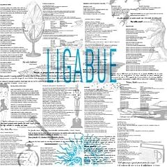Ligabue