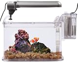 TOM Aquarium Deco Kit - 3gal Aquarium Kit - PC Lighting & Filter