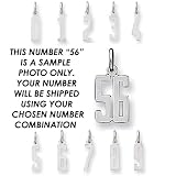 Sterling Silver Small Elongated Pol Number 94
