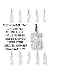 Sterling Silver Small Elongated Pol Number 50