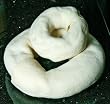 Rawhide Donuts 5.5 in. Natural