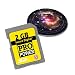 Pro Power 2 GB / 2048 MB Secure Digital SD Card for Canon Digital Cameras and Camcorders : PowerShot A / G / SD / S series A460 A550 G7 SD800 SD900 SD600 SD500 A710IS A700 A640 A630 A620