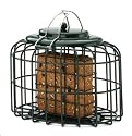 The Nuttery Squirrel & Predator Proof Oval Suet Feeder