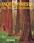 Ancient Forests Big Trees & Redwoods Calendar 2002