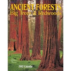 Ancient Forests Big Trees & Redwoods Calendar 2002