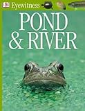 Pond & river