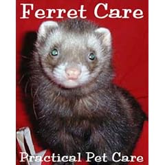 Ferret Care