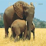 Review Browntrout Pubs (Cal)  / Elephants 2009 Calendar