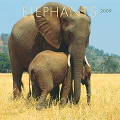 Elephants 2009 Calendar