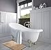 Memory Foam Bathrug - Beige (Cream) Bath Mat and Shower Rug Small 17 x 24 Inches, Non Slip Latex Free Plush Microfiber. Comfortable, Beautiful and Maximum Absorbency.
