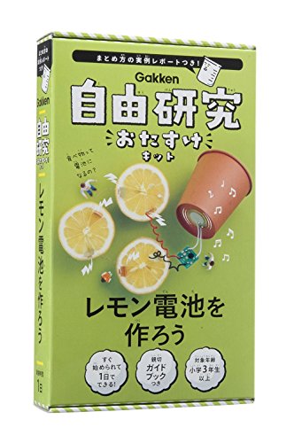 レモン電池を作ろう (自由研究おたすけキット)