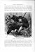 Natural History 1895 Pondicherry Vultures Birds Prey