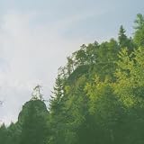 ALL HARM ENDS HERE [Vinyl]
