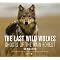 Wolf Information Center