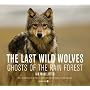 The Last Wild Wolves: Ghosts of the Rain Forest