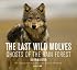 The Last Wild Wolves: Ghosts of the Rain Forest