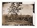 Civil War Photo (S): Antietam Maryland. Burying the dead Confederate soldiers