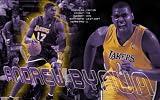 Andrew Bynum 11x17 HD Photo Poster Los Angeles Lakers #01