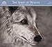 The Spirit of Wolves 2016 Calendar