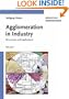 Agglomeration in Industry: Occurence and Applications