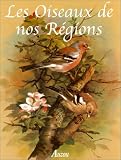 Les Oiseaux de nos régions