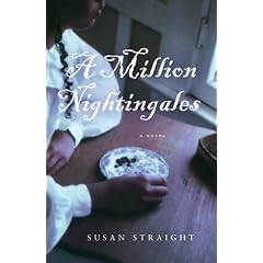 A Million Nightingales: A Novel