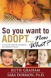 So You Want to Adopt... Now What?: A Practical Guide for Navigating the Adoption Process