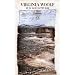 Virginia Woolf. Gesammelte Werke: Zum Leuchtturm: Roman
