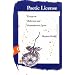 Poetic License: Essays on Modernist and Postmodernist Lyric