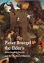 Pieter Bruegel the Elder's Netherlandish Proverbs and the Practice of Rhetoric (Studies in Netherlandish Art and Cultural History)