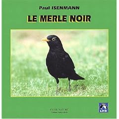 Le Merle noir