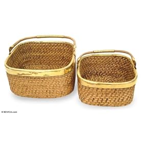 Cane and brass baskets, 'Nature's Dream' (pair) by NOVICA