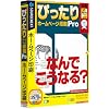 ぴったりホームページ印刷 Pro (説明扉付きスリムパッケージ版)