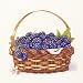 Basket Of Blackberries Art Poster PRINT Bambi Papais 6x6