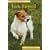Pet Owner's Guide to the Jack Russell Terrier