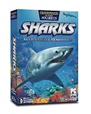 Sharks 2.0