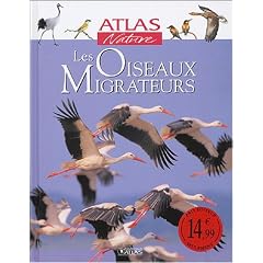 Atlas nature des oiseaux migrateurs
