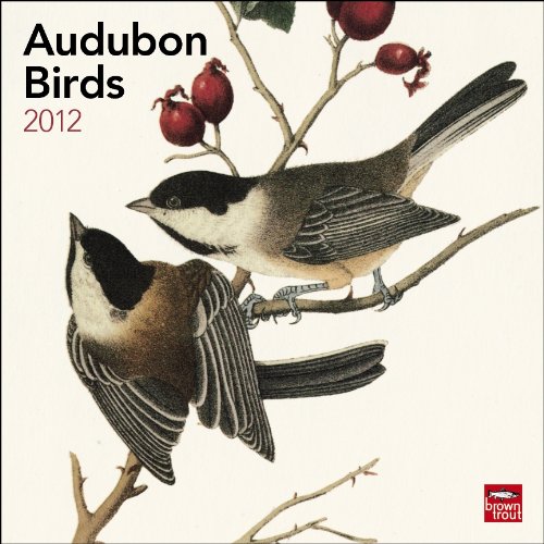 John James Audubon Birds (Multilingual Edition)