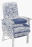 Lift Chair EZ Seat (seat up lift) Electric Riser Recliner