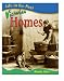 Victorian Homes  (Life in the Past)
