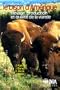 Le Bison d'Am�rique, �levage production et qualit� de la viande