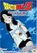 DragonBall Z: Great Saiyaman - Declaration