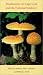 Books : Mushrooms of Cape Cod and the National Seashore
