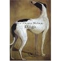 Dingo